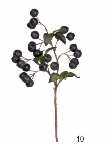 Hawthorn Berry - Black Forest