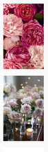 Load image into Gallery viewer, DREAMING IN PETALS