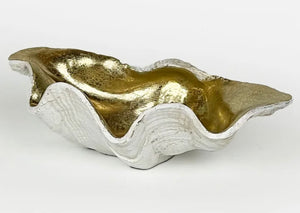 Clam Shell Champagne