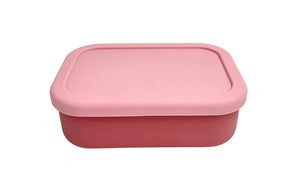 Mini Bento Lunchbox