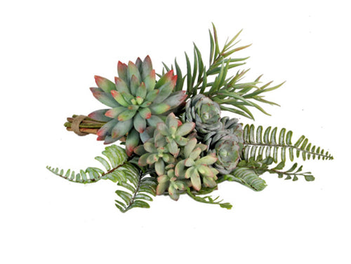 Succulent Bundle - Assorted