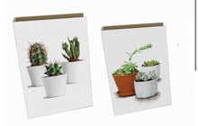 Load image into Gallery viewer, Cactus Book Box S/2