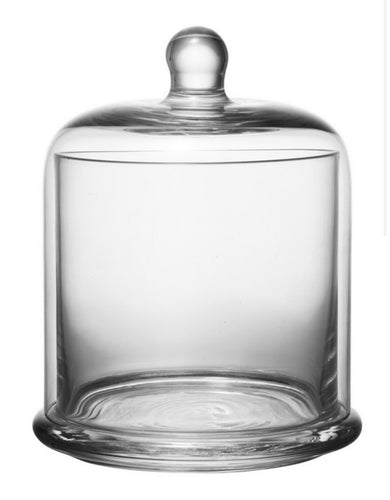 Glass Dome with Base
