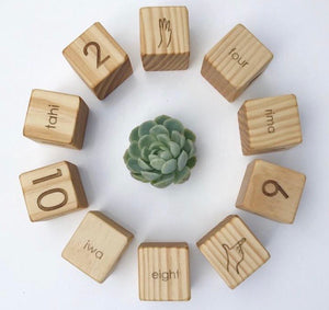 NUMERACY BLOCKS