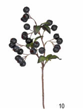 Load image into Gallery viewer, Hawthorn Berry - Black Forest