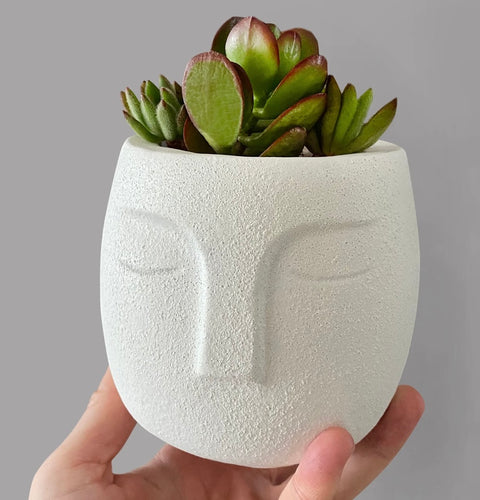 Face Planter - Artistic Decor