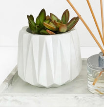 Load image into Gallery viewer, FACETED PLANTER-WHITE