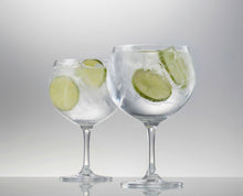 Load image into Gallery viewer, Schott Zwiesel- S/2 Gin Glasses