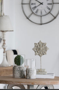 Cornelius Decorative Accent
