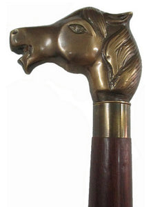 Walking Stick