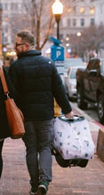 Load image into Gallery viewer, Muslin Car Seat Canopy- Prickle Pots